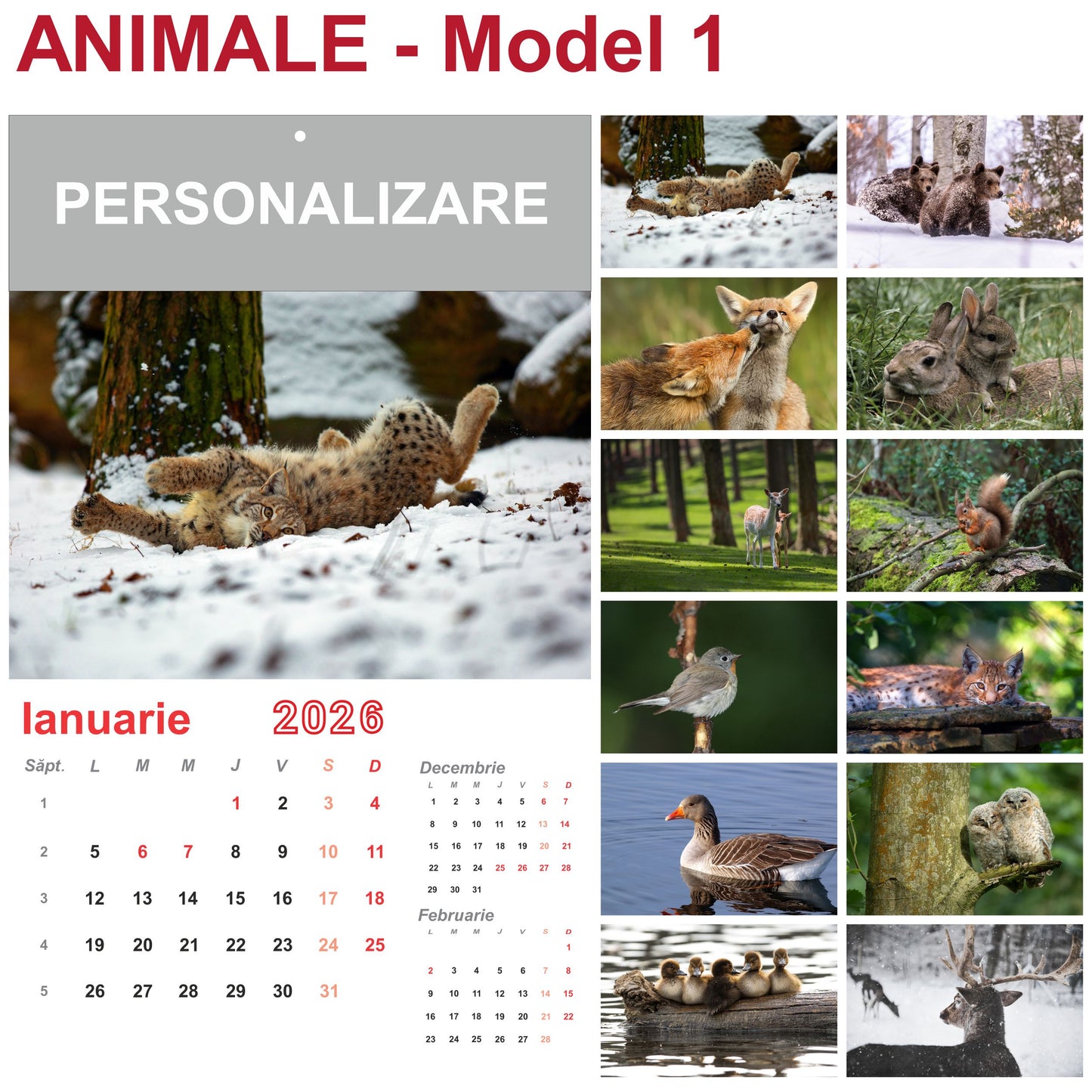 Calendar de Perete - tematica Animale