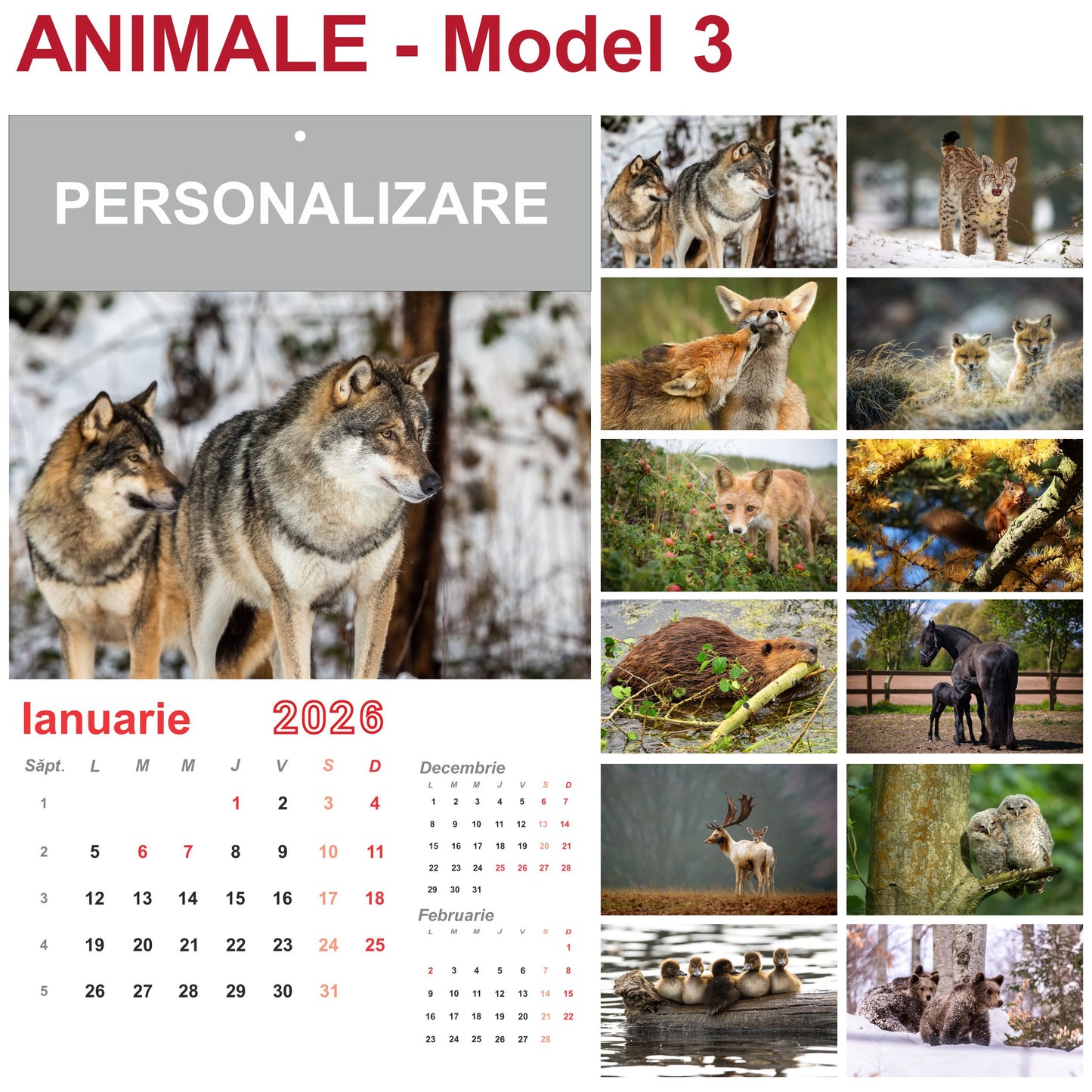 Calendar de Perete - tematica Animale