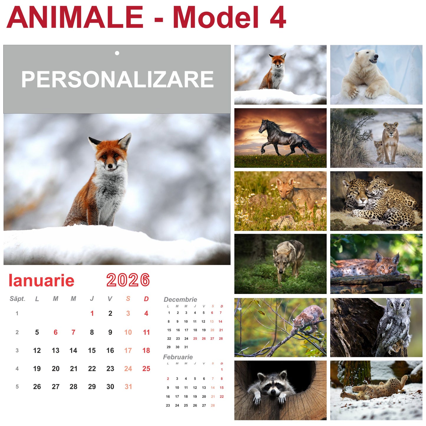Calendar de Perete - tematica Animale