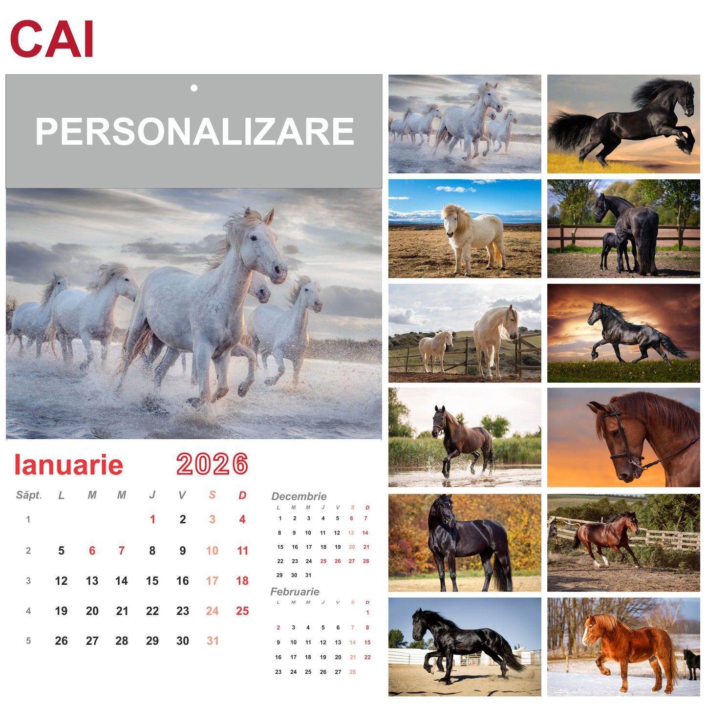 Calendar de Perete - tematica Cai
