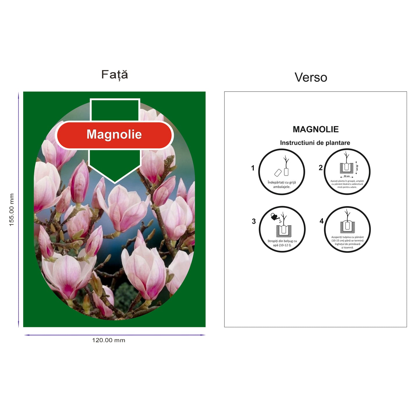 Etichete tip Poze pentru Pomi Fructiferi