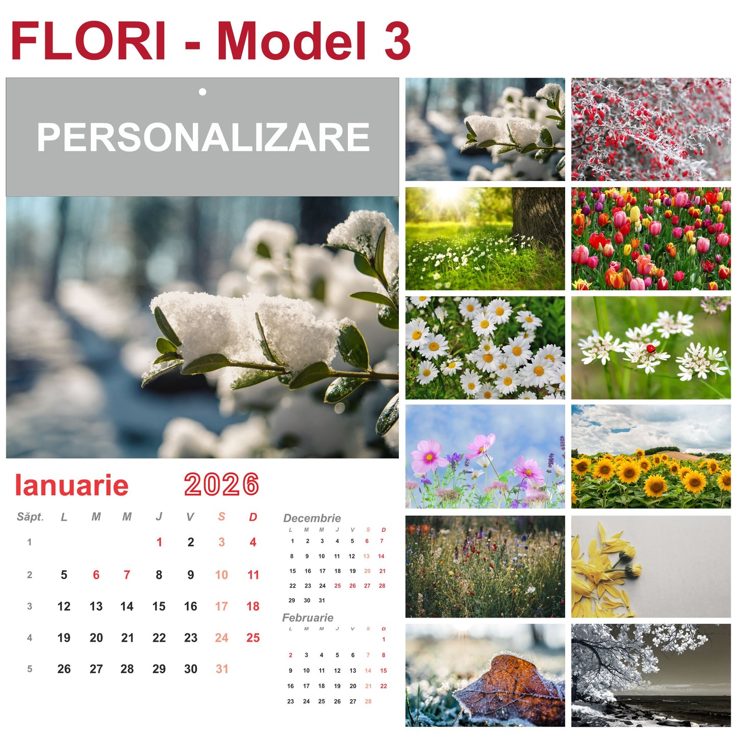 Calendar de Perete - tematica Flori