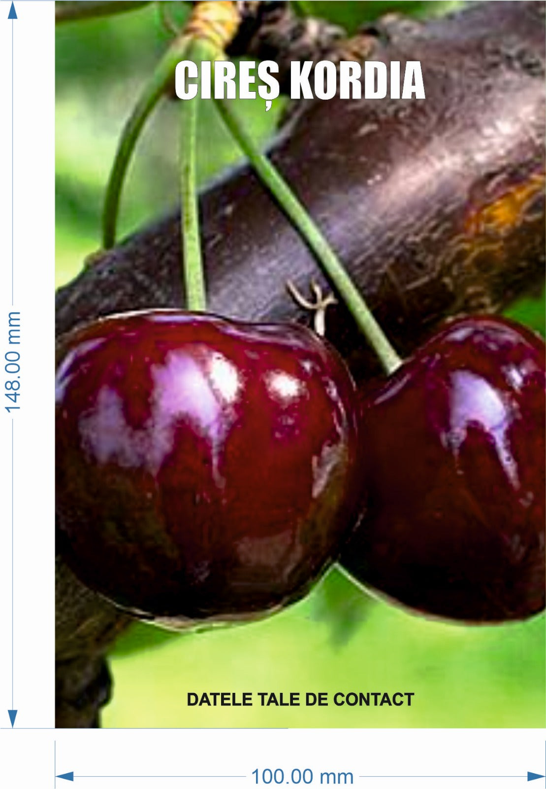 Etichete Autocolante tip Poza pentru pomi fructiferi - set de 250 buc/model