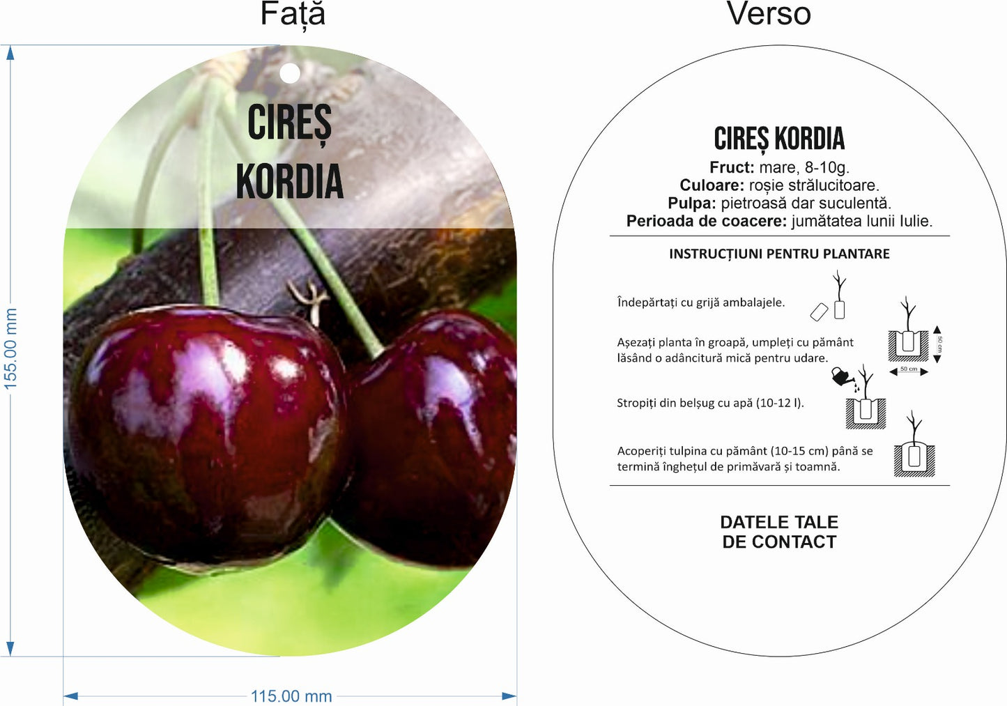 Etichete Ovale tip Poza pentru pomi fructiferi
