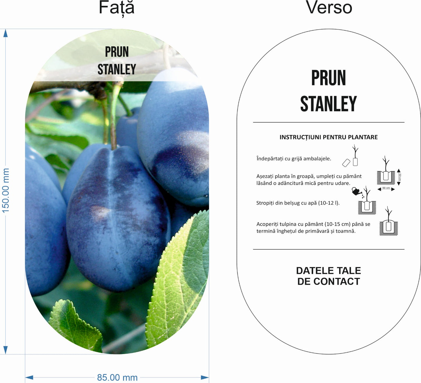 Etichete Ovale tip Poza pentru pomi fructiferi