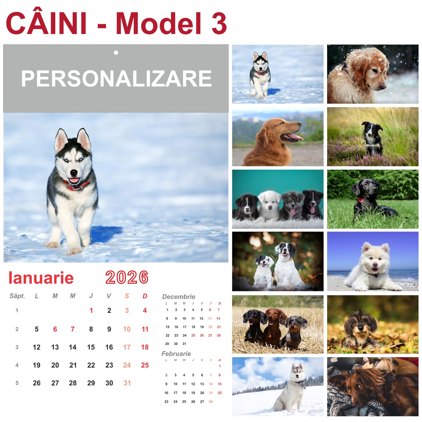 Calendar de perete Caini 2026