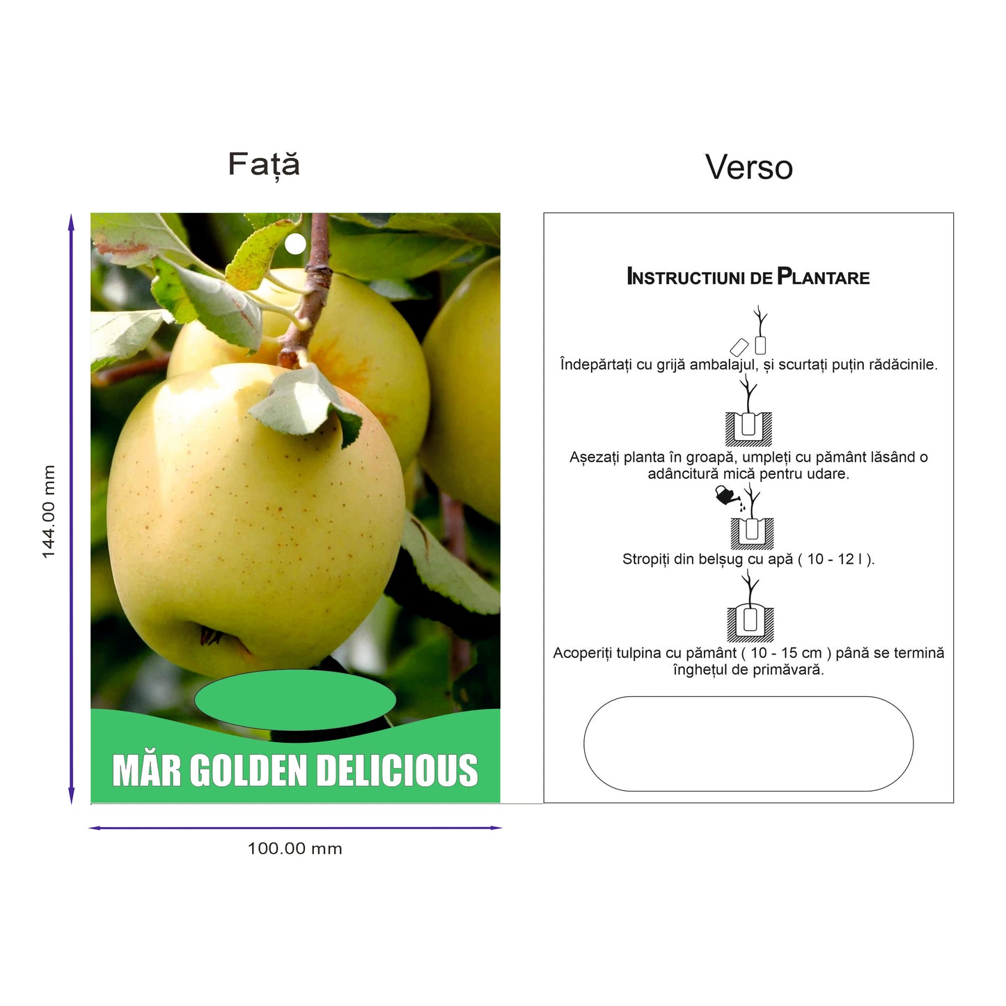 Etichete tip Poze pentru Pomi Fructiferi