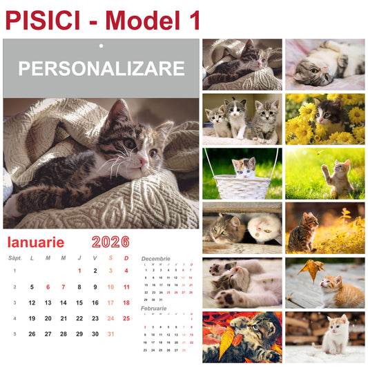 Calendar de Perete - tematica Pisici