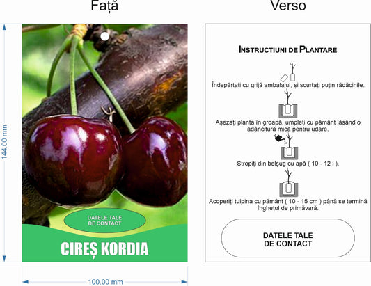 Etichete tip Poze pentru Pomi Fructiferi