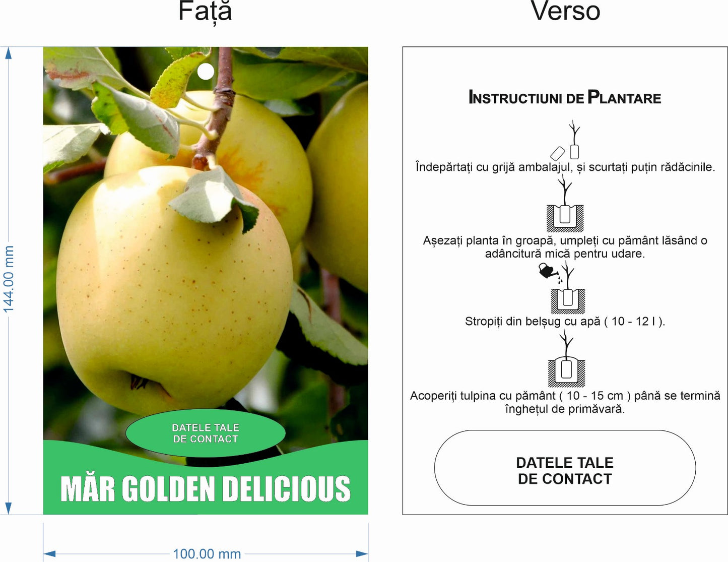 Etichete tip Poze pentru Pomi Fructiferi