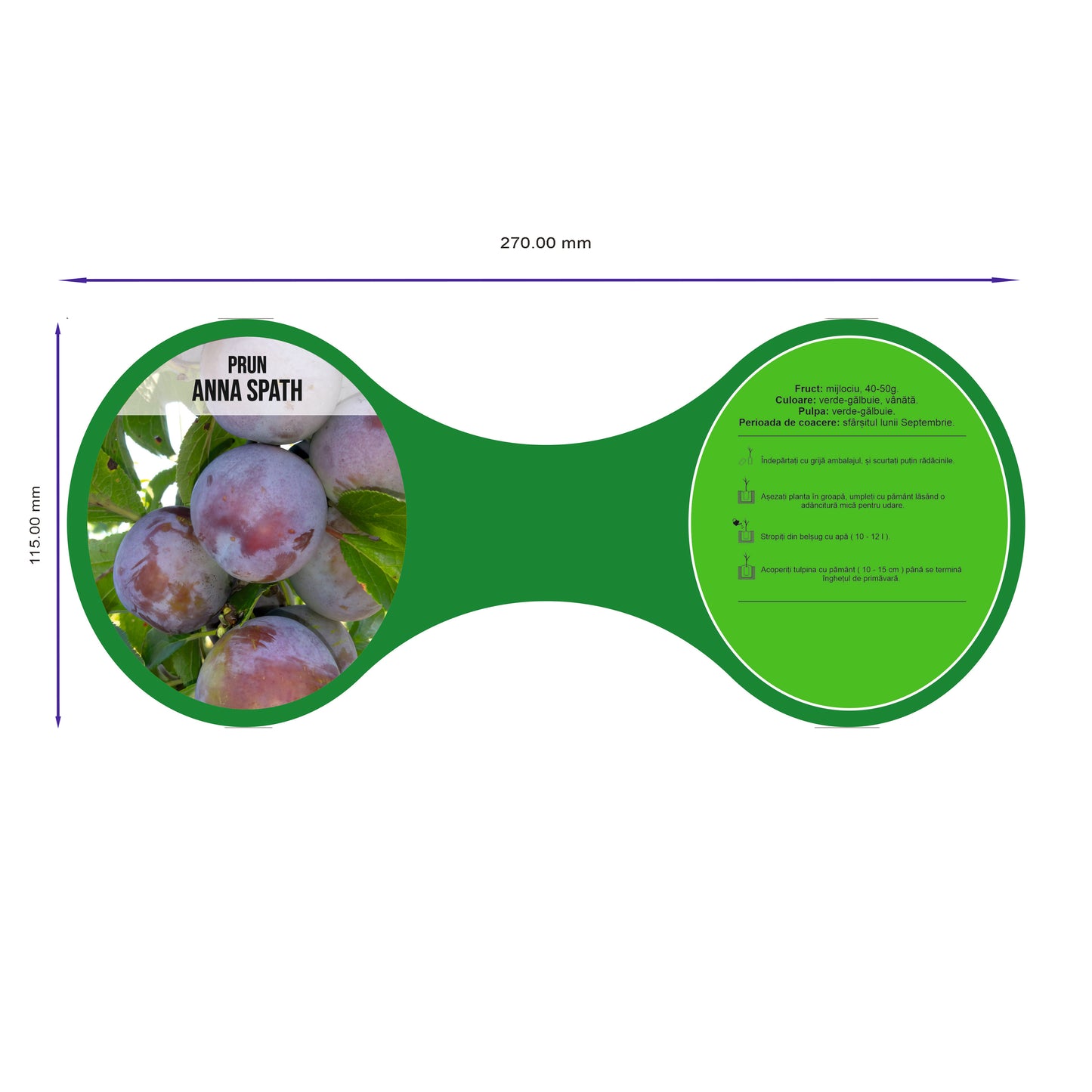 Etichete Duble tip Poze pentru Pomi Fructiferi